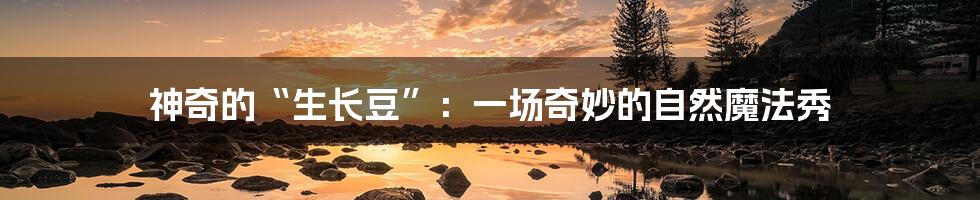 神奇的“生长豆”:一场奇妙的自然魔法秀