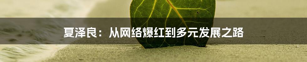 夏泽良：从网络爆红到多元发展之路