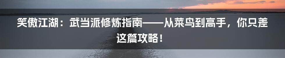 笑傲江湖：武当派修炼指南——从菜鸟到高手，你只差这篇攻略！