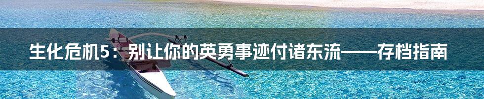 生化危机5：别让你的英勇事迹付诸东流——存档指南