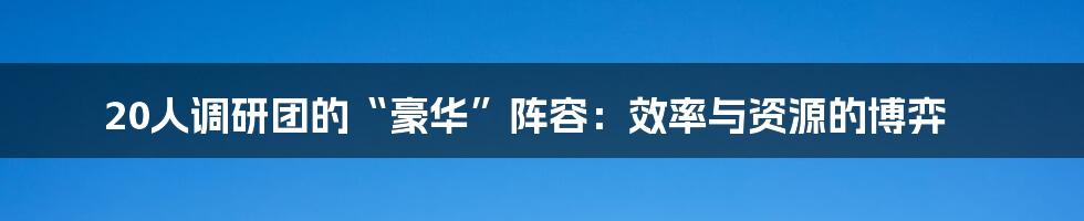 20人调研团的“豪华”阵容:效率与资源的博弈