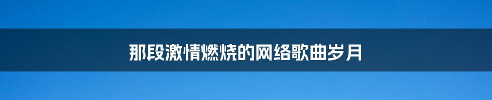 那段激情燃烧的网络歌曲岁月