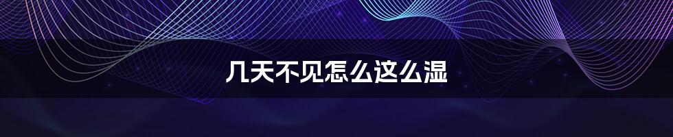 几天不见怎么这么湿