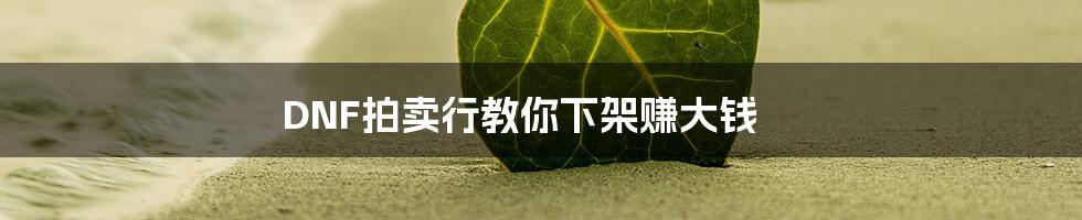 DNF拍卖行教你下架赚大钱
