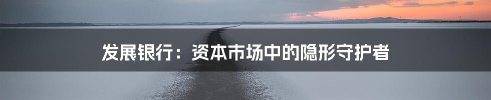发展银行:资本市场中的隐形守护者