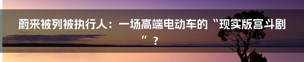 蔚来被列被执行人:一场高端电动车的“现实版宫斗剧”?