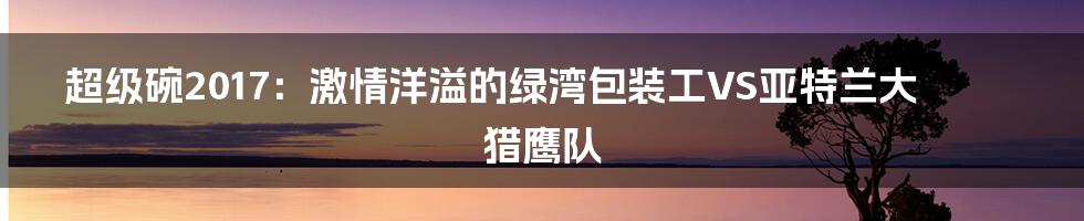 超级碗2017：激情洋溢的绿湾包装工VS亚特兰大猎鹰队