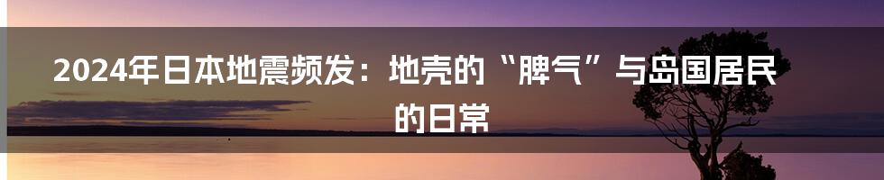 2024年日本地震频发:地壳的“脾气”与岛国居民的日常