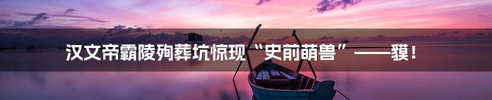 汉文帝霸陵殉葬坑惊现“史前萌兽”——貘!