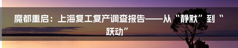 魔都重启:上海复工复产调查报告——从“静默”到“跃动”