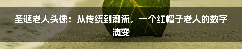 圣诞老人头像:从传统到潮流,一个红帽子老人的数字演变