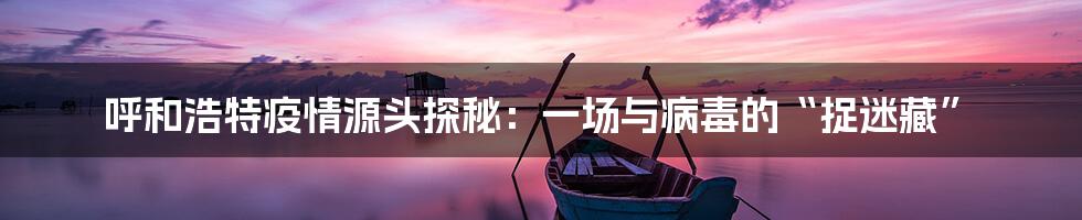 呼和浩特疫情源头探秘：一场与病毒的“捉迷藏”