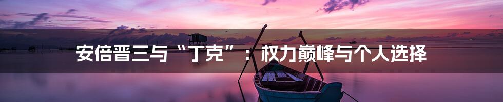 安倍晋三与“丁克”:权力巅峰与个人选择