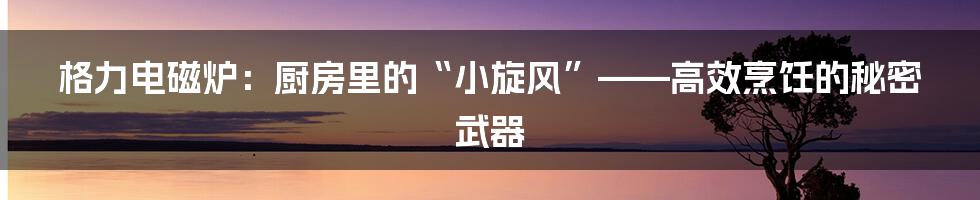 格力电磁炉：厨房里的“小旋风”——高效烹饪的秘密武器