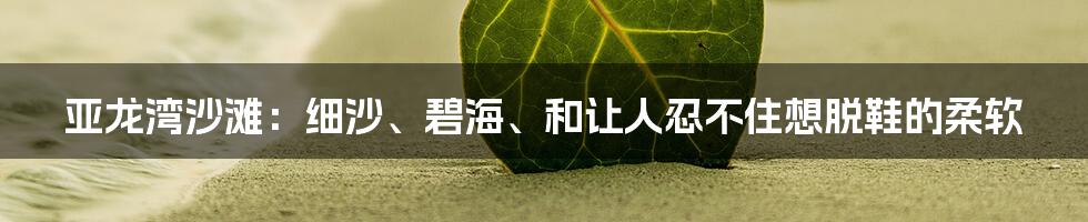 亚龙湾沙滩:细沙、碧海、和让人忍不住想脱鞋的柔软