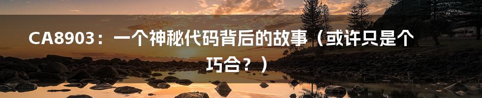 CA8903：一个神秘代码背后的故事（或许只是个巧合？）