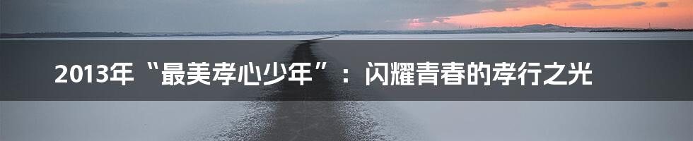 2013年“最美孝心少年”:闪耀青春的孝行之光