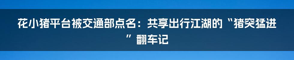 花小猪平台被交通部点名:共享出行江湖的“猪突猛进”翻车记