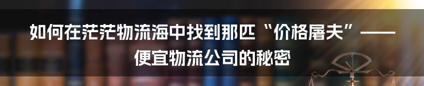如何在茫茫物流海中找到那匹“价格屠夫”——便宜物流公司的秘密