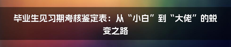 毕业生见习期考核鉴定表:从“小白”到“大佬”的蜕变之路