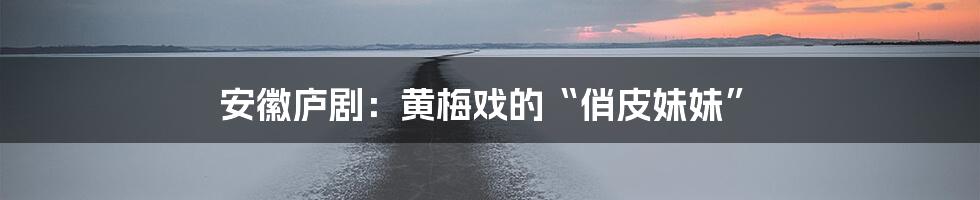 安徽庐剧:黄梅戏的“俏皮妹妹”