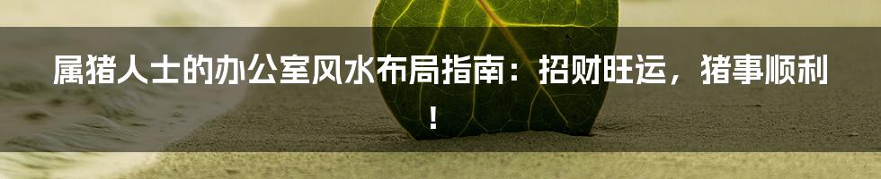 属猪人士的办公室风水布局指南:招财旺运,猪事顺利!