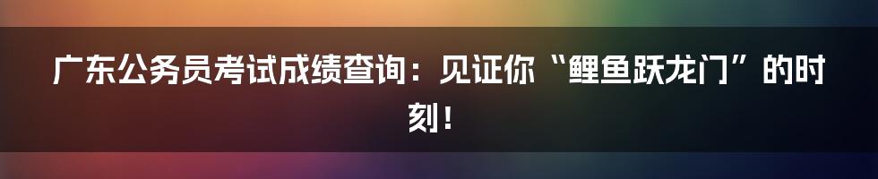 广东公务员考试成绩查询:见证你“鲤鱼跃龙门”的时刻!