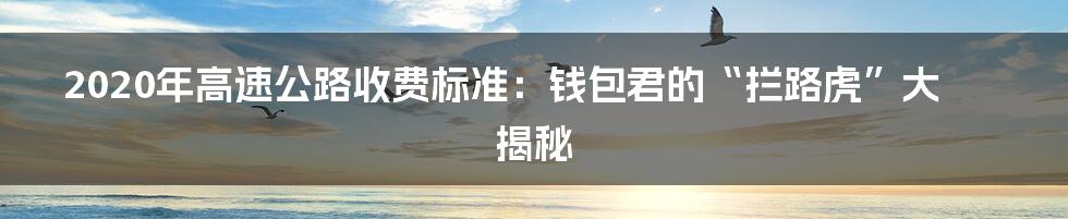 2020年高速公路收费标准:钱包君的“拦路虎”大揭秘