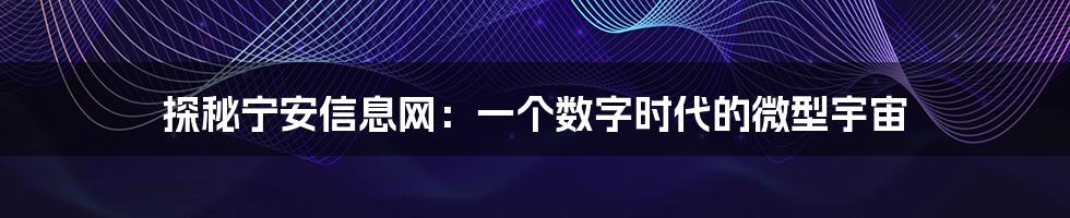探秘宁安信息网:一个数字时代的微型宇宙