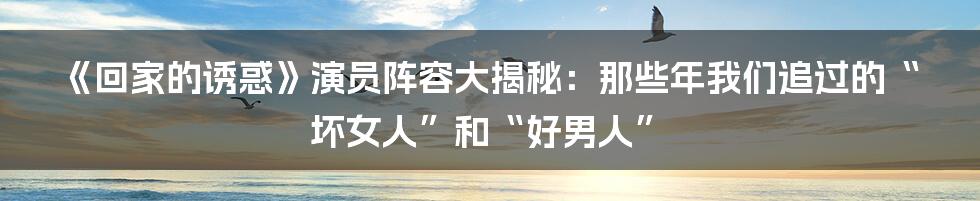 《回家的诱惑》演员阵容大揭秘：那些年我们追过的“坏女人”和“好男人”