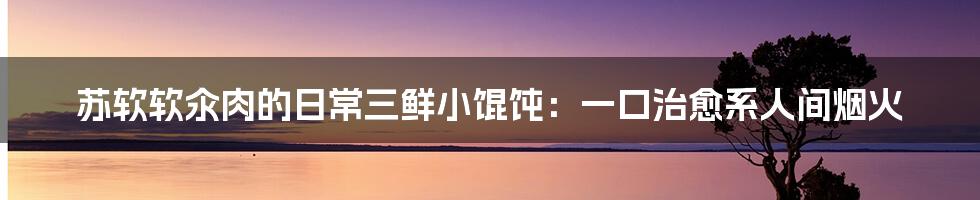 苏软软汆肉的日常三鲜小馄饨：一口治愈系人间烟火