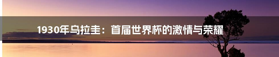 1930年乌拉圭：首届世界杯的激情与荣耀