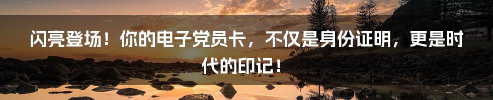 闪亮登场!你的电子党员卡,不仅是身份证明,更是时代的印记!