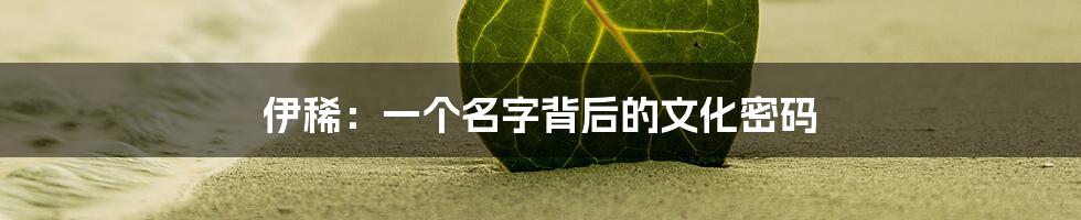 伊稀：一个名字背后的文化密码