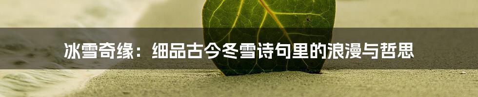 冰雪奇缘:细品古今冬雪诗句里的浪漫与哲思