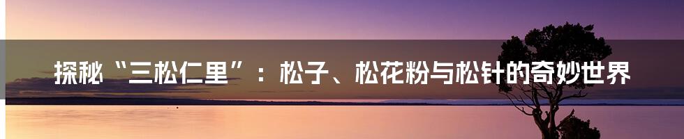 探秘“三松仁里”：松子、松花粉与松针的奇妙世界