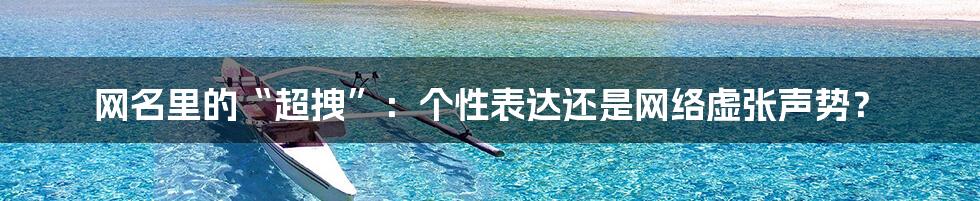网名里的“超拽”：个性表达还是网络虚张声势？