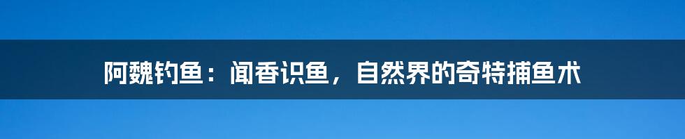 阿魏钓鱼：闻香识鱼，自然界的奇特捕鱼术