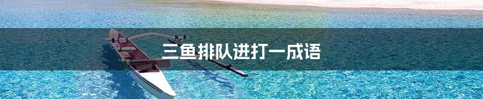 三鱼排队进打一成语