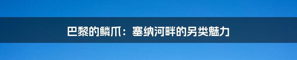 巴黎的鳞爪：塞纳河畔的另类魅力