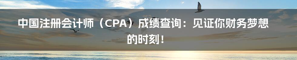 中国注册会计师（CPA）成绩查询：见证你财务梦想的时刻！