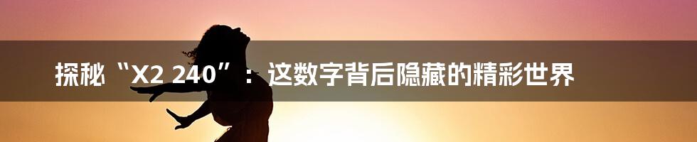探秘“X2 240”:这数字背后隐藏的精彩世界
