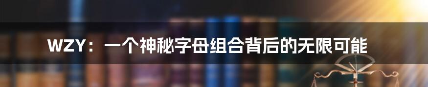 WZY：一个神秘字母组合背后的无限可能