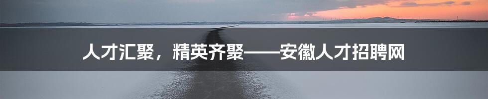 人才汇聚,精英齐聚——安徽人才招聘网