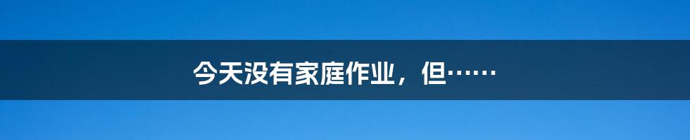 今天没有家庭作业,但……