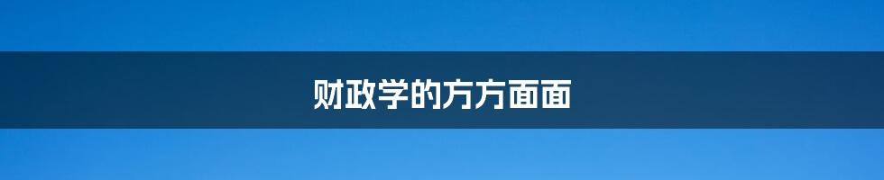 财政学的方方面面