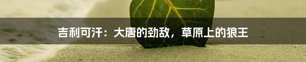 吉利可汗：大唐的劲敌，草原上的狼王