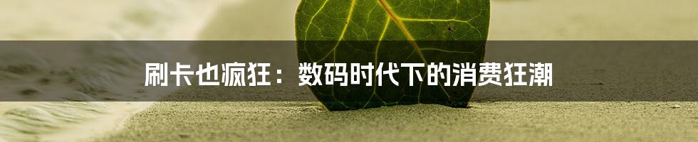 刷卡也疯狂:数码时代下的消费狂潮