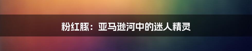 粉红豚：亚马逊河中的迷人精灵