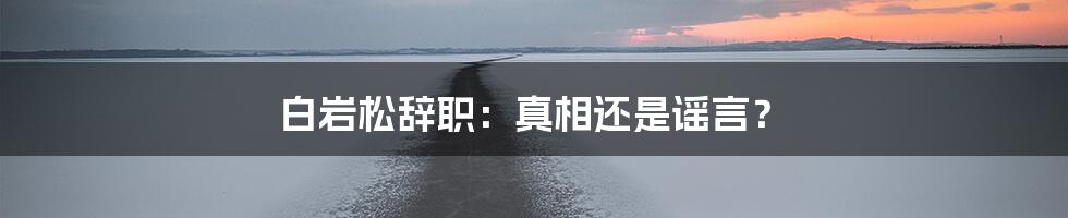 白岩松辞职：真相还是谣言？